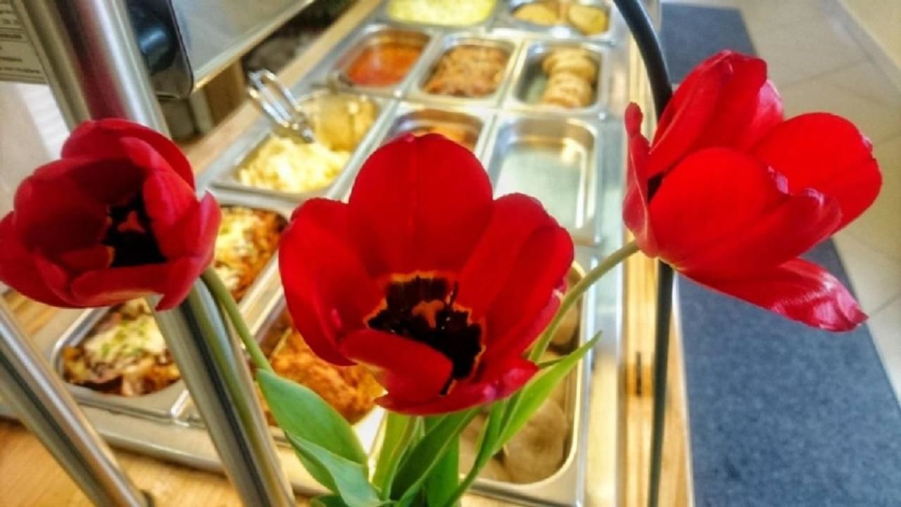 Отели типа «постель и завтрак» Polski Dom Rodziny Serce Сокулка-24